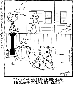 heathcliff